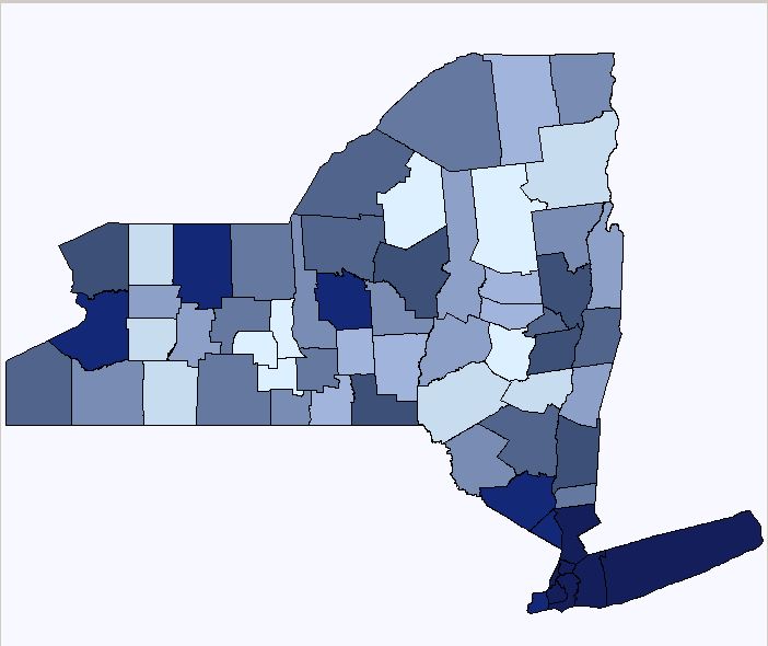 New York Demographic Data